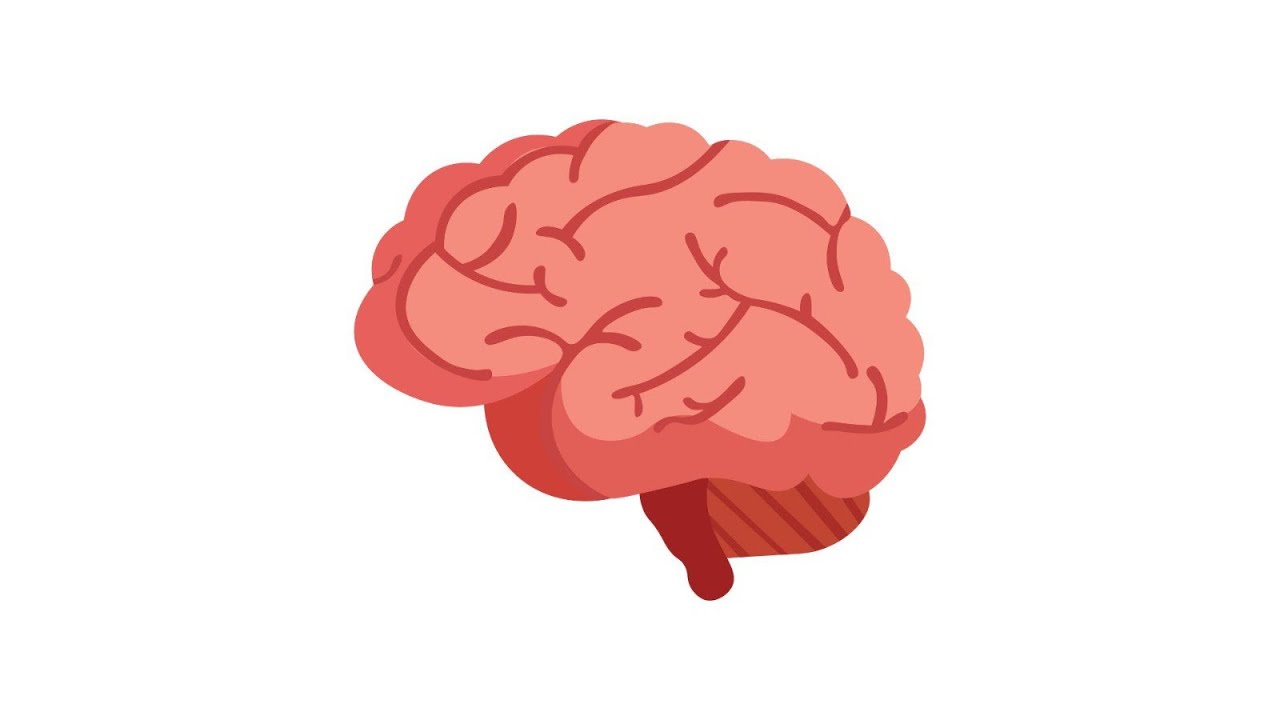 Neurología - clase 1