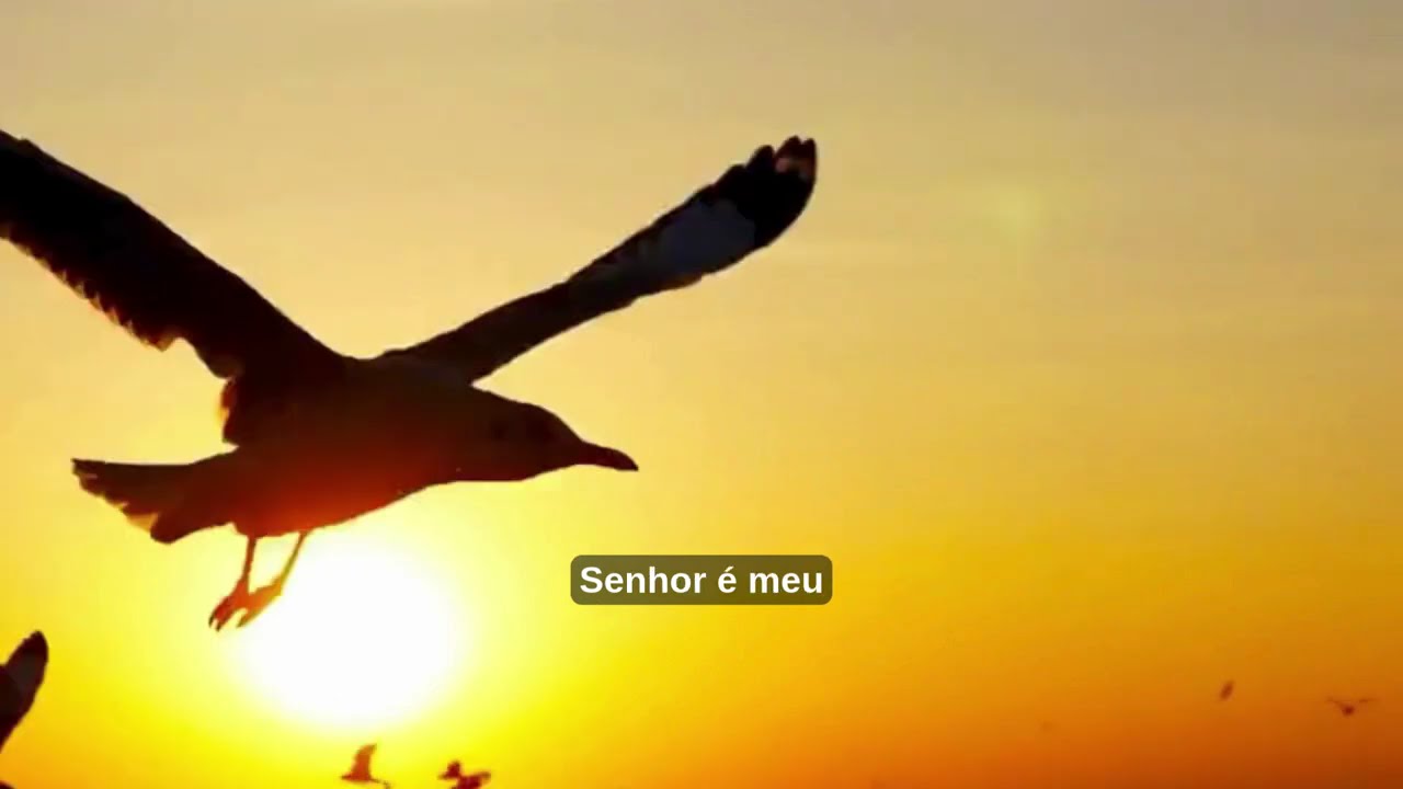 Não me deixes sozinha.#louvor#musicagospel #oração#fé #jesus#louvorbrasil #adoracao #musicaevangelic