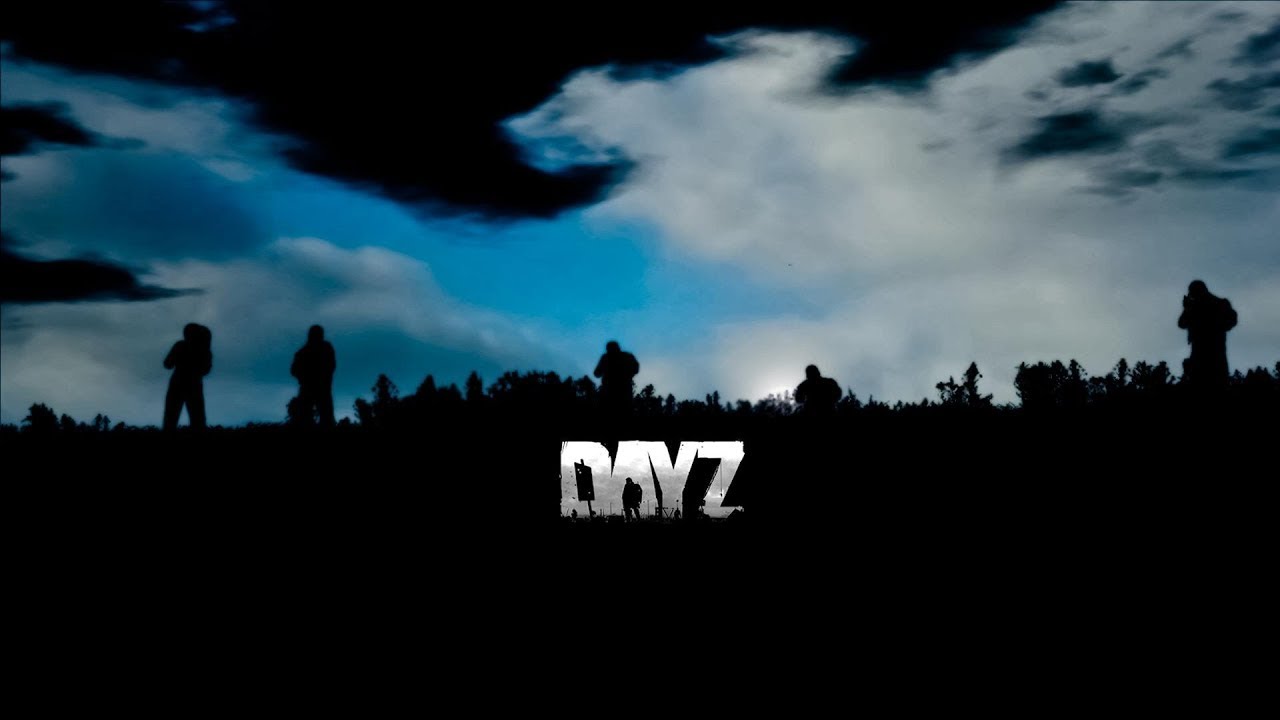 Стрим DayZ SHIZOFRENIYAPVE +18 делаем  идем умирать