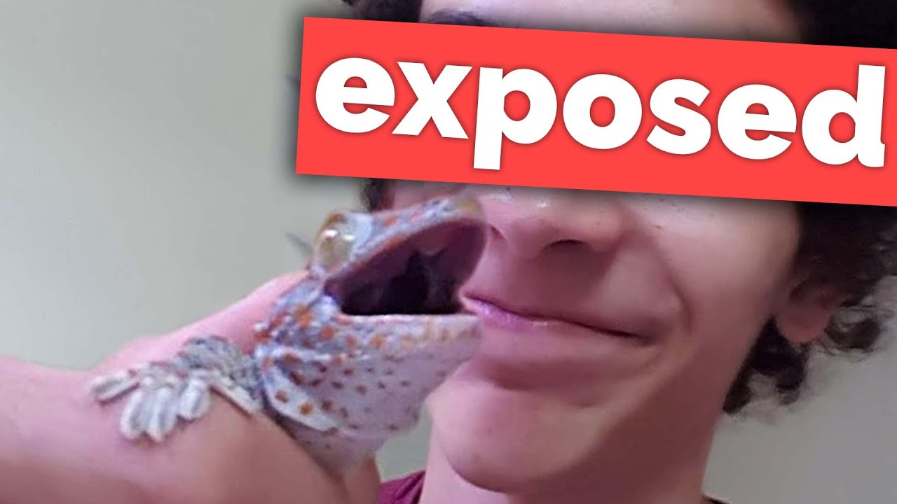 The Worst Reptile Keeper on YouTube