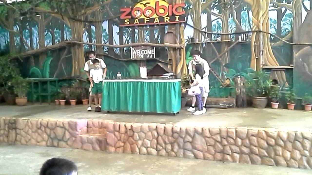 Animal show at Zoobic Safari
