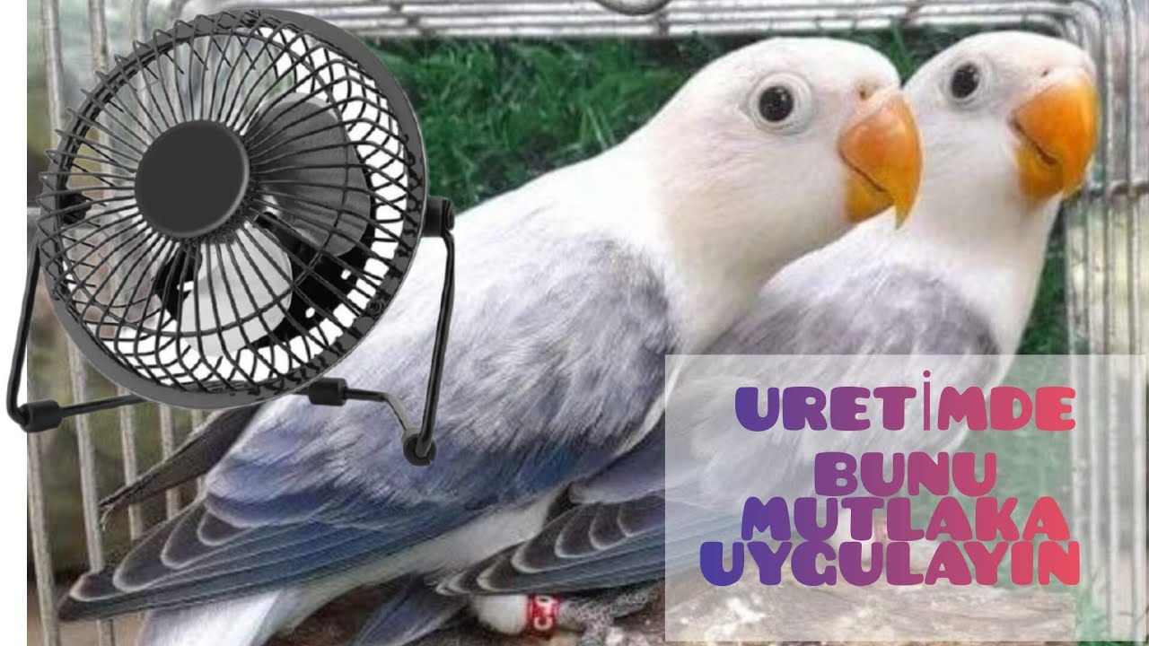 Üretimhanede Havalandırma l Dibe Çöken Zehirli Gazlar l Vlog