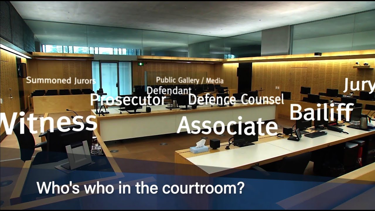Part 3 – Who’s who in the courtroom?
