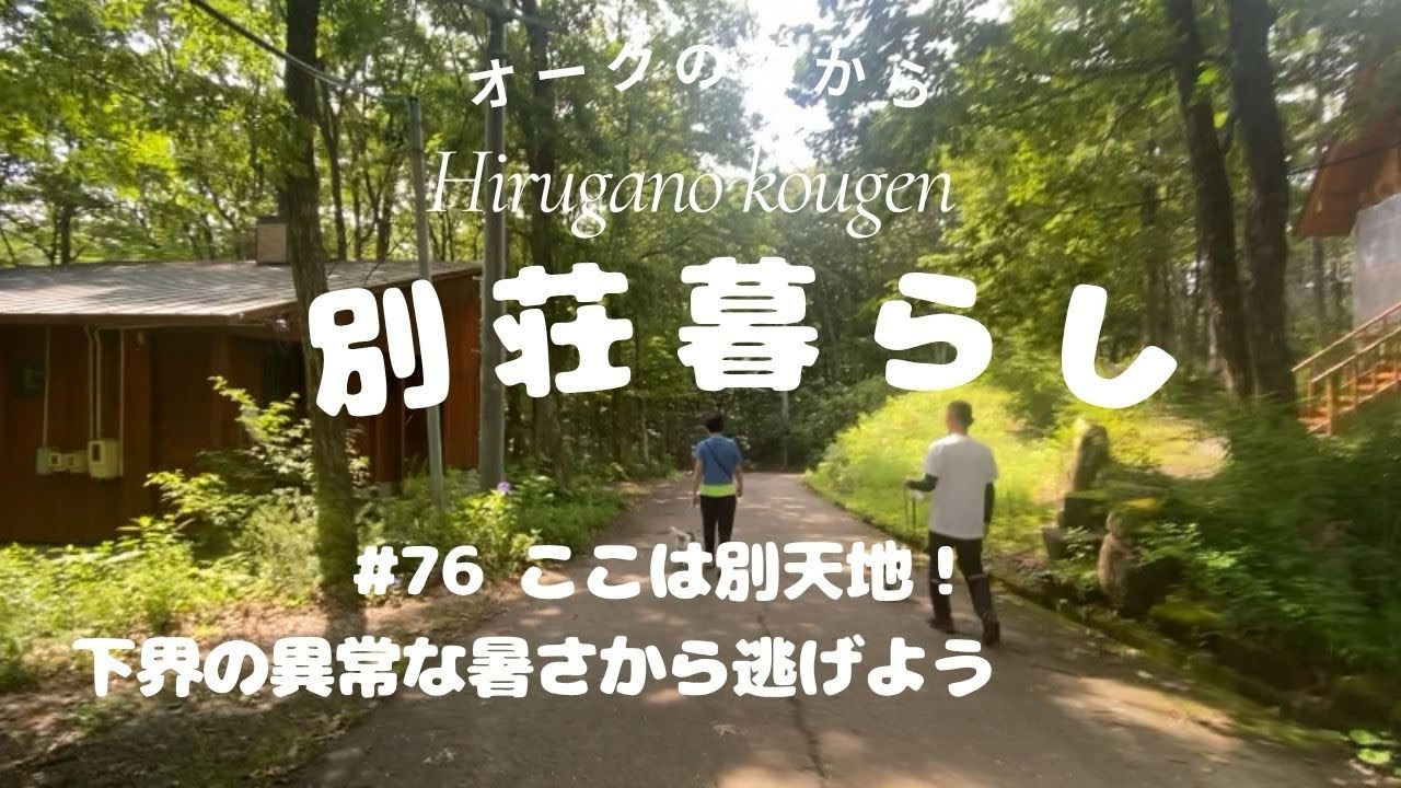 【ひるがの高原別荘生活】#76ここは別天地！この夏の異常な暑さから逃げよう！クーラーが必要の無い生活。