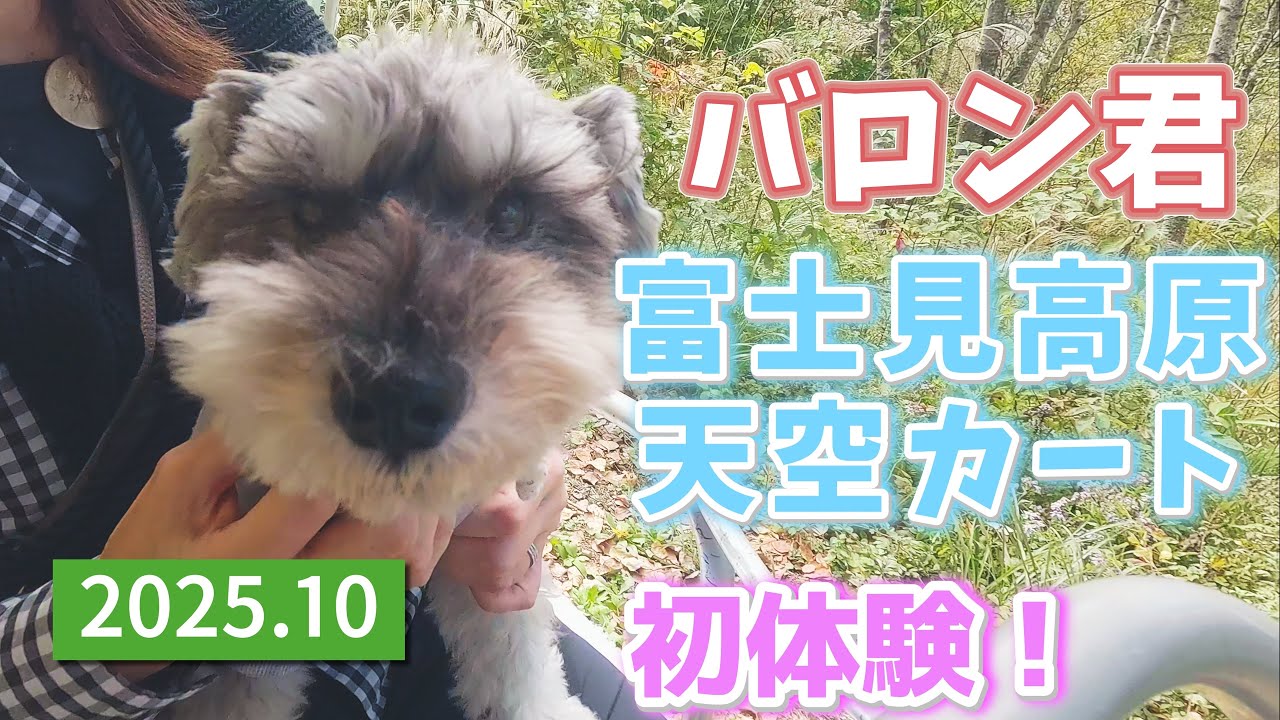 バロン、富士見高原　天空カート初体験！　創造の森探索