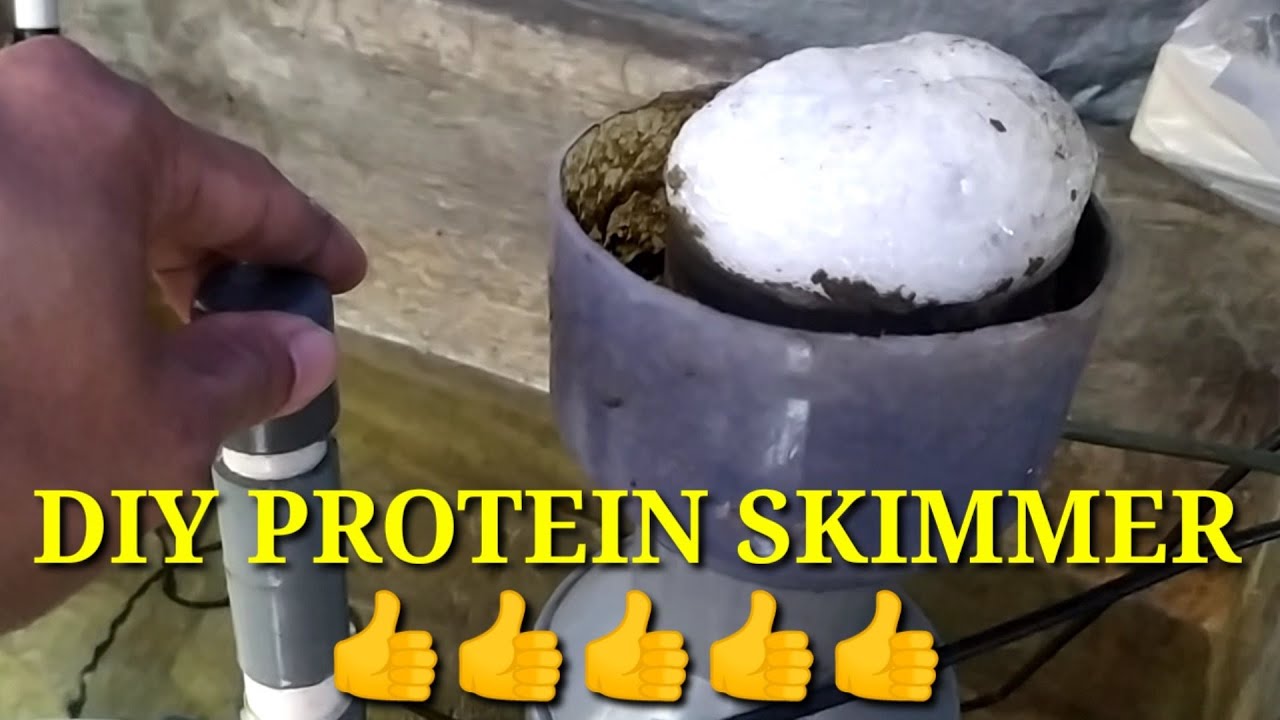 DIY PROTEIN SKIMMER SUPER MURAH . . . KUALITAS BERANI DIADU DENGAN SKIMMER BRANDED!!!!
