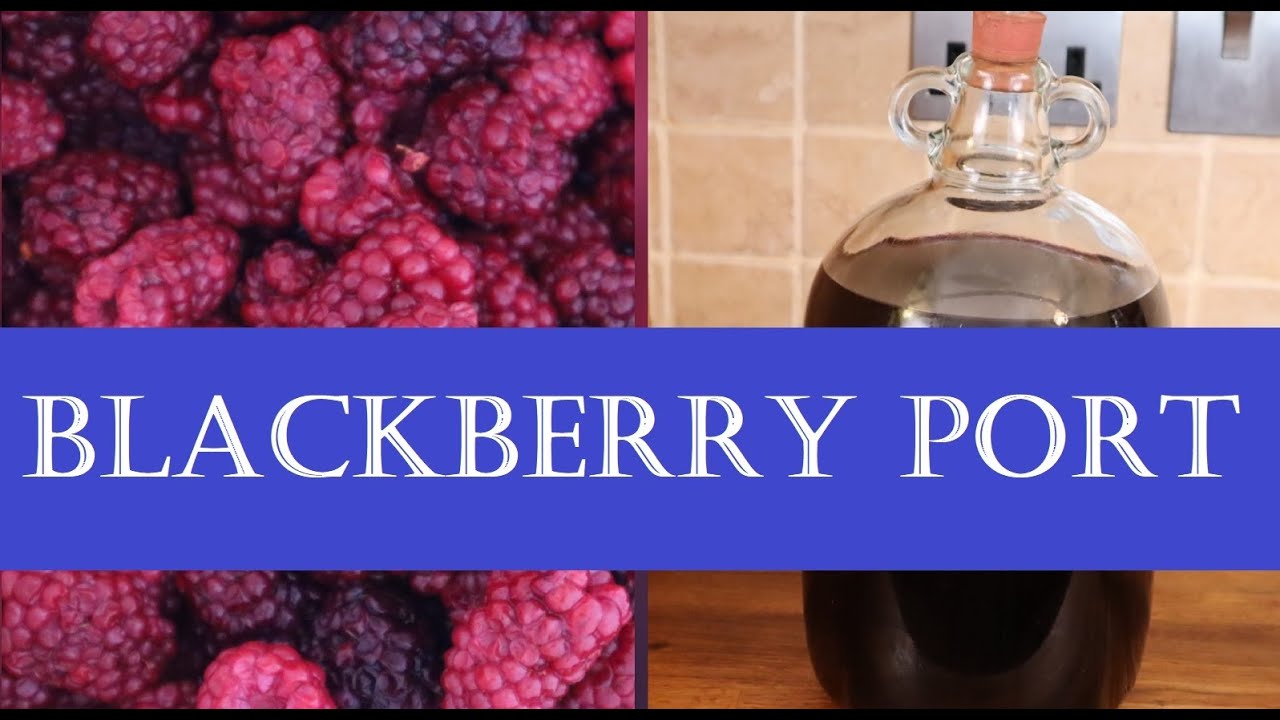 Making Blackberry Port  (Fortified Wine)
