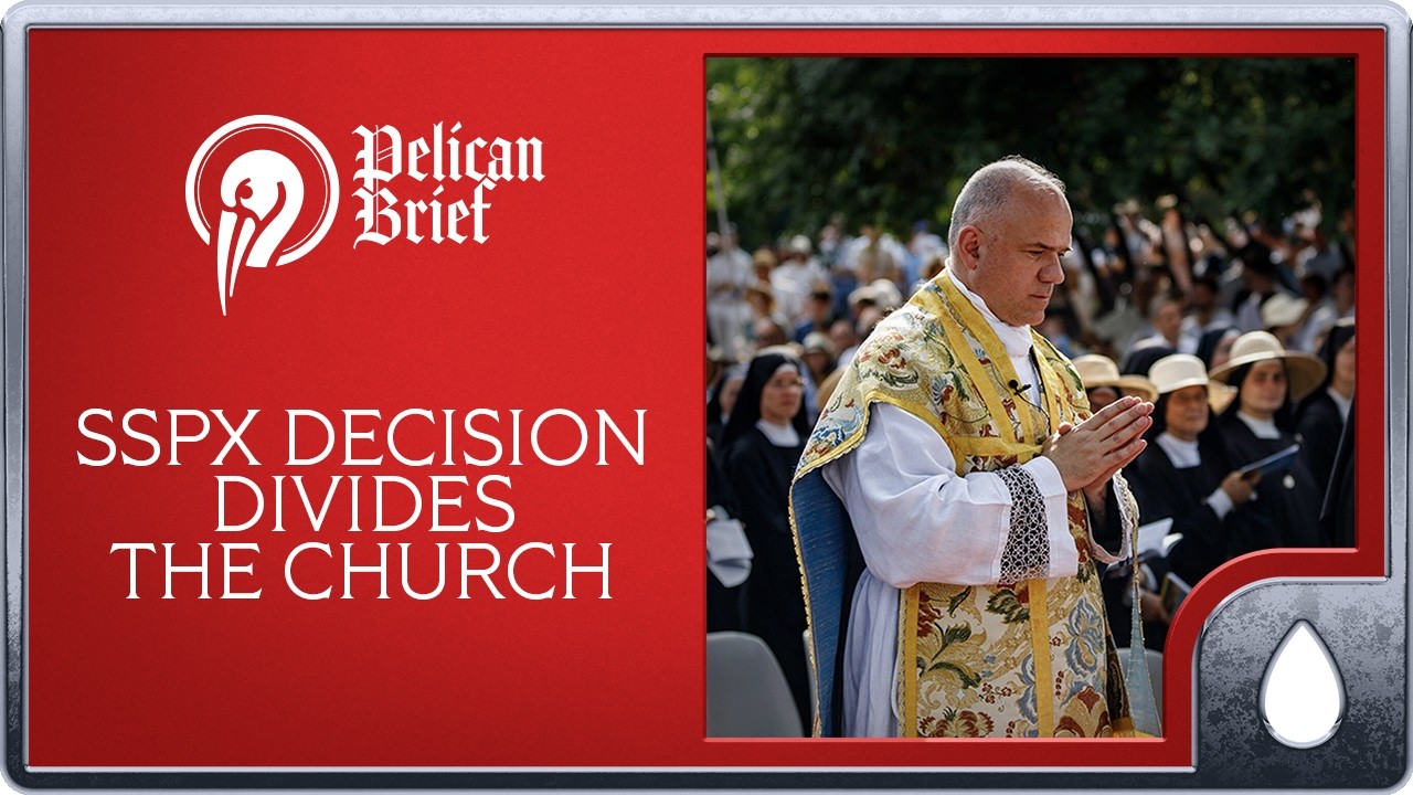 Pelican Brief Daily: Bishops and Cardinals Disagree on SSPX