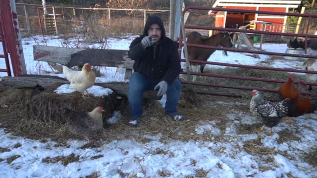 Becoming a Homesteader- Is it WORTH IT? (5 yrs later)
