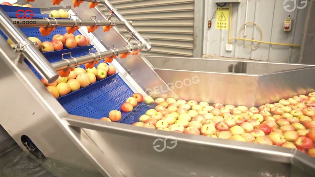 Apple Washing, Waxing & Grading Line for Export  CE Certified Solution