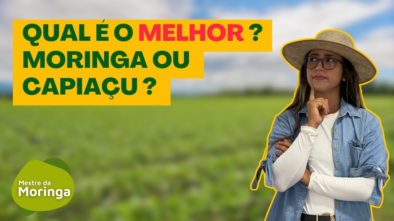 Moringa ou Capiaçu ? O que ninguém te conta !