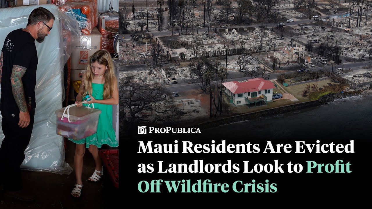 Maui Residents Have Been Evicted as Landlords Look to Profit Off Wildfire Crisis