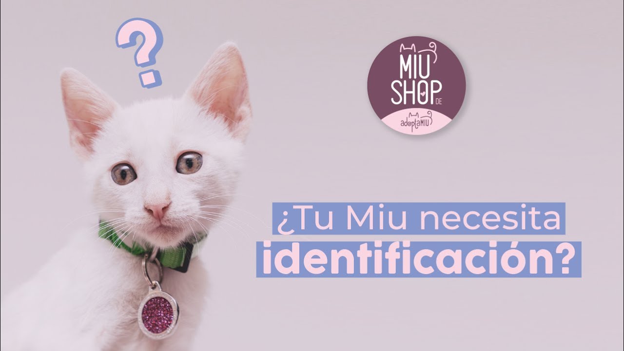 MIUSHOP: ¿Tu Miu Necesita Identificación?
