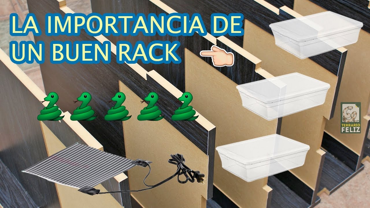 ¡Instalando nuevo RACK para BOAS! - El Terrario Feliz