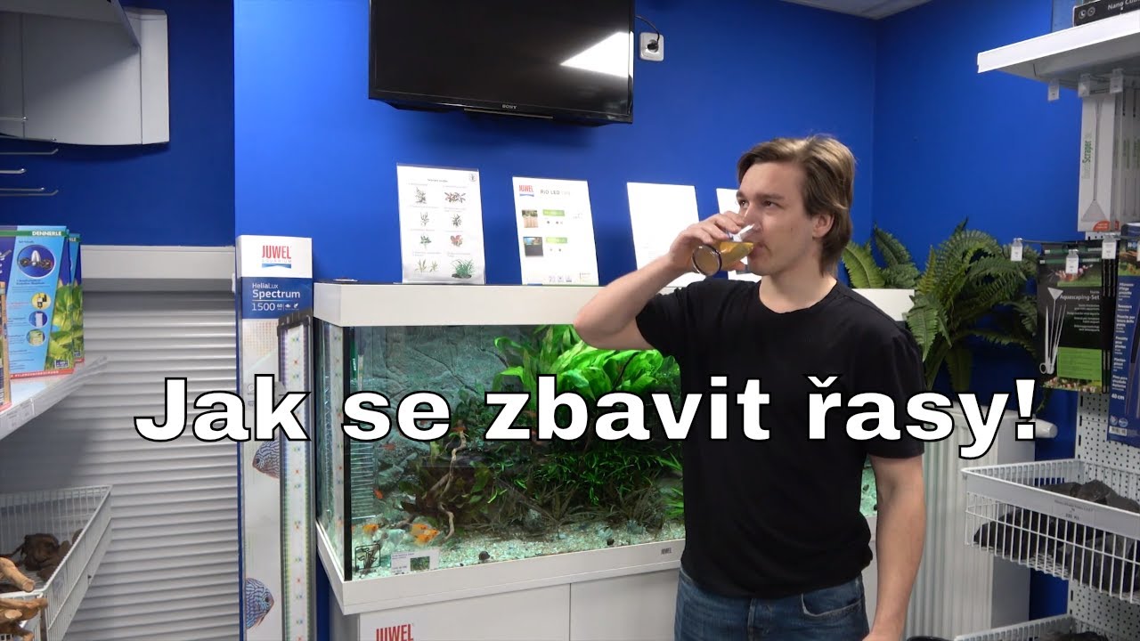 Juwel Akvarium - Jak odstranit řasu z akvária