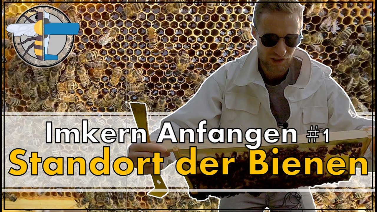 &raquo; Imkern Anfangen #1 Standort des Bienenvolk | BeePilot