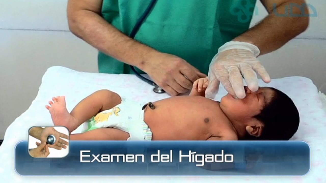 🌟EXAMEN DEL HÍGADO DEL RECIÉN NACIDO🌟