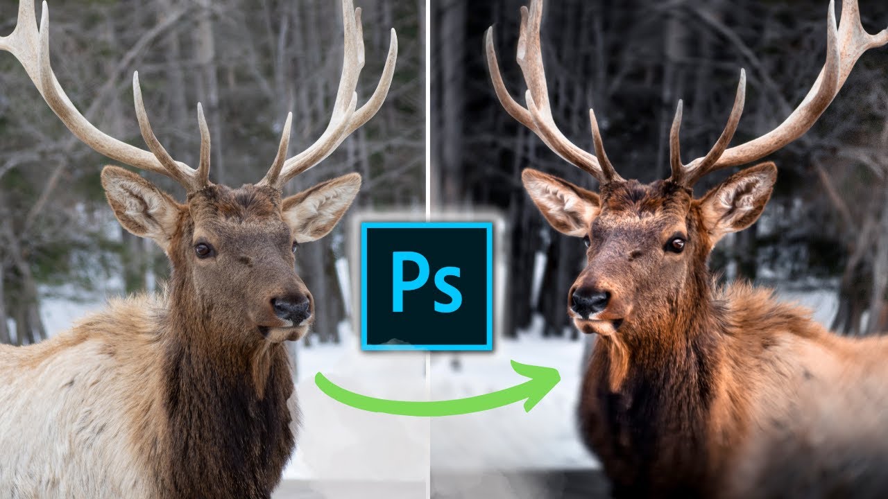 Les 3 Meilleures Techniques de Retouche Photo sur Photoshop - comment retoucher dans photoshop