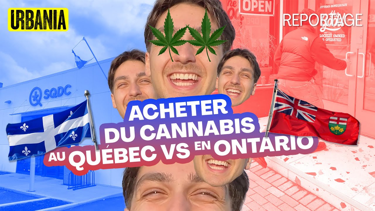 Qu&eacute;bec vs Ontario : le combat des dispensaires de cannabis | Reportage terrain