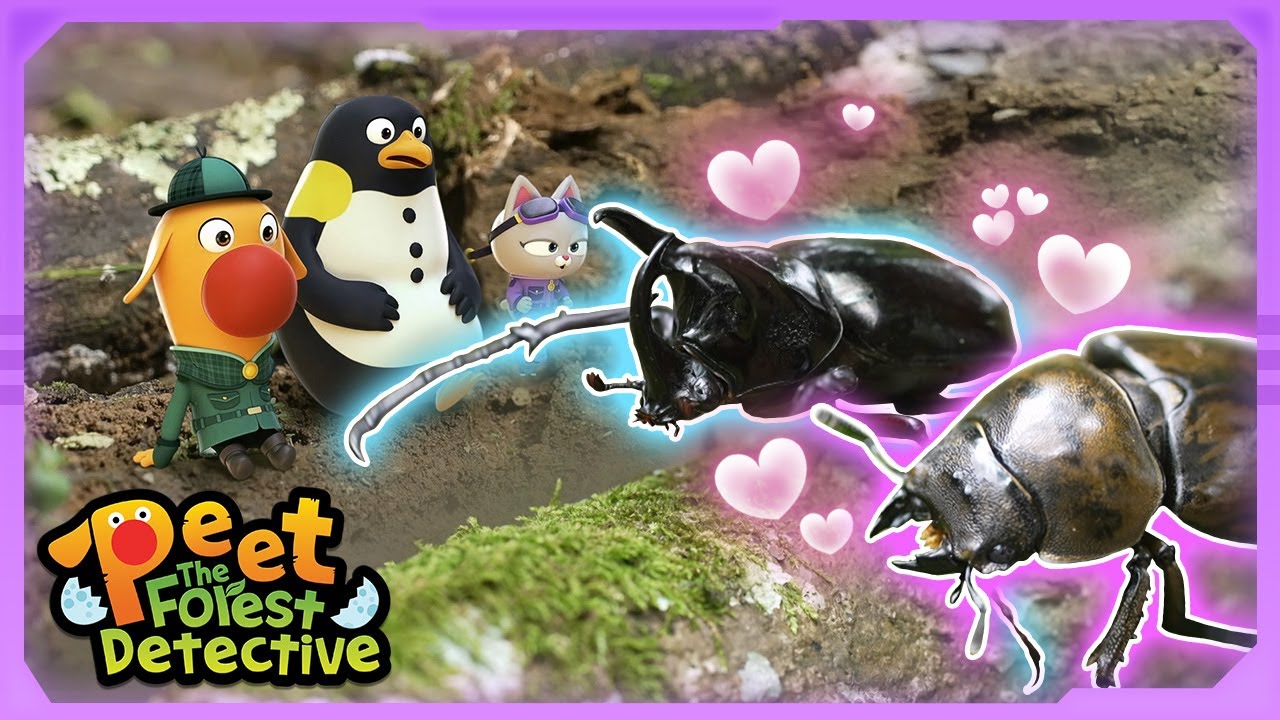 🪲 Romeo the Rhino Beetle ❤️ Juliet the Stag Beetle?! |  Animal Stories | Peet The Forest Detective