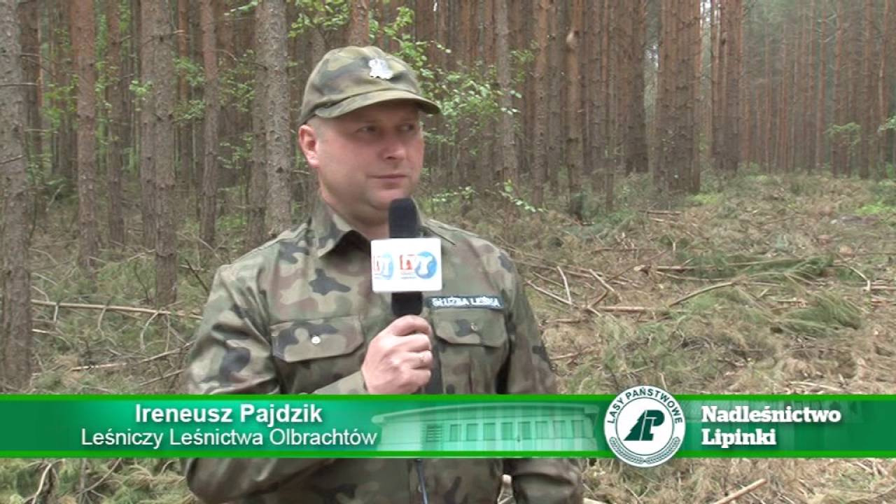 Nadleśnictwo Lipinki - Użytkowanie lasu