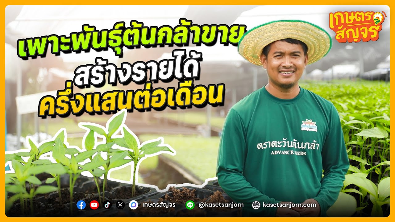 เพาะพันธุ์ต้นกล้าขาย สร้างรายได้ครึ่งแสนต่อเดือน | เกษตรสัญจร