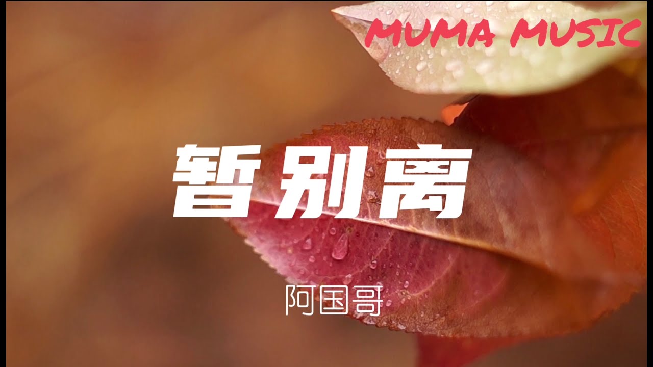 阿國哥 - 暫別離『 愛你一生不捨棄  , 無懼遠隔百千里。』【動態歌詞Lyrics】