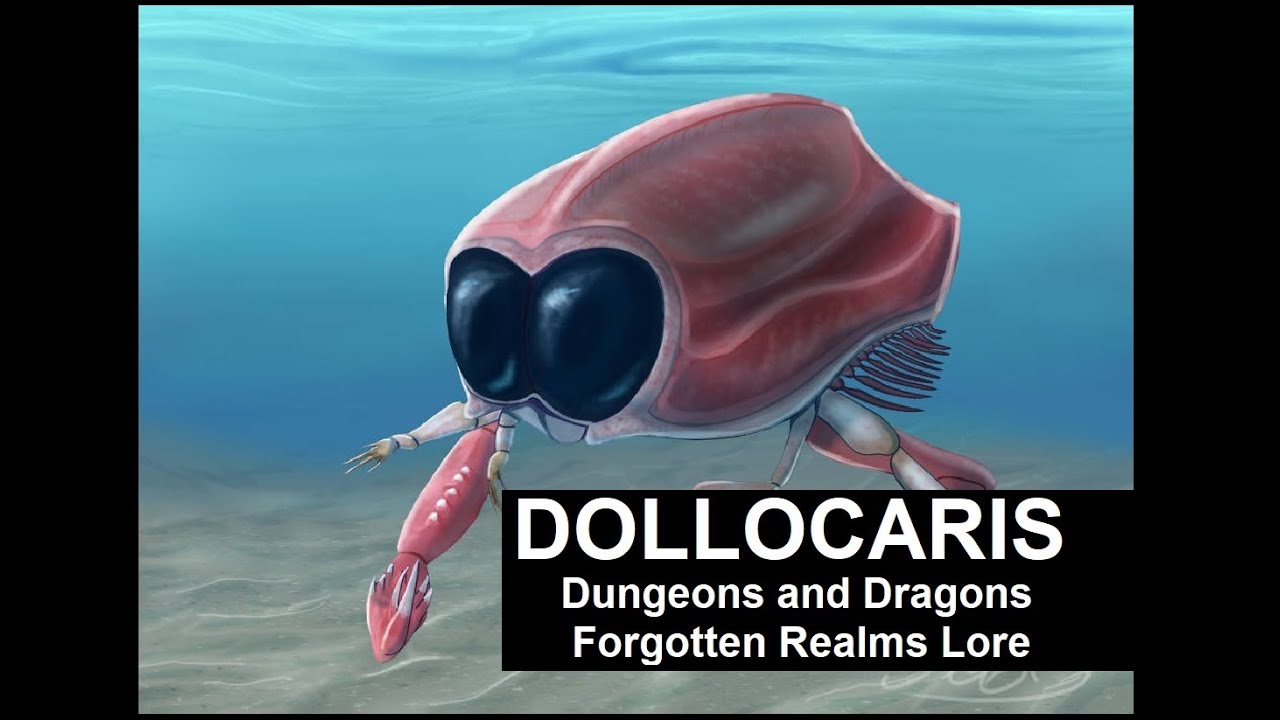 Dollocaris - Dungeons and Dragons - Forgotten Realms Lore