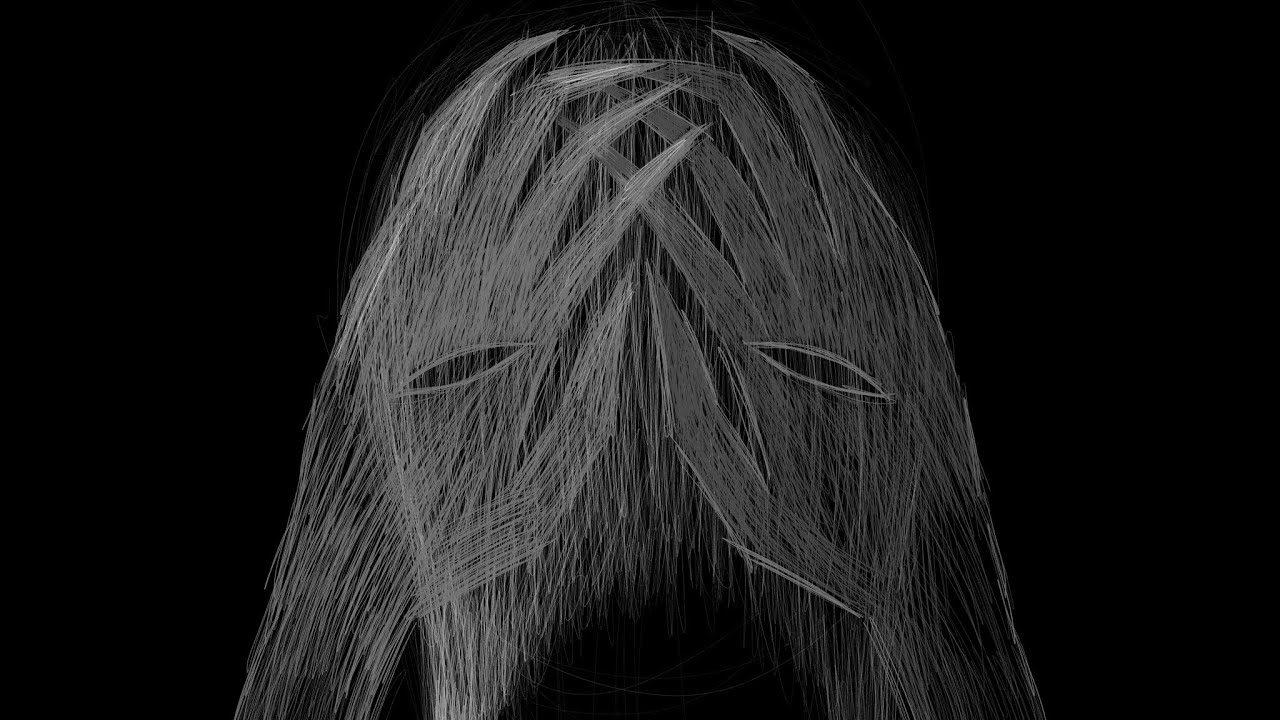 Hide