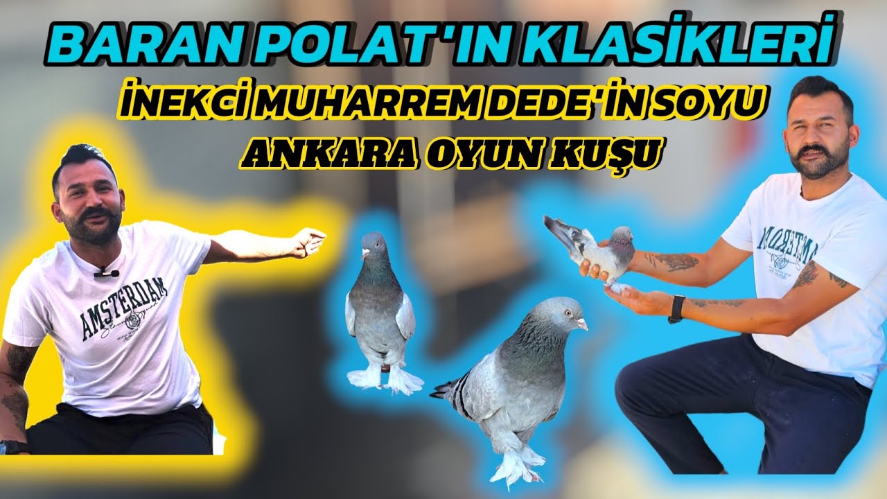 İnekci muharrem dede'nin soyunu devam ettiriyorum Baran polat klasikleri iyi seyirler ✅️#keşfet 