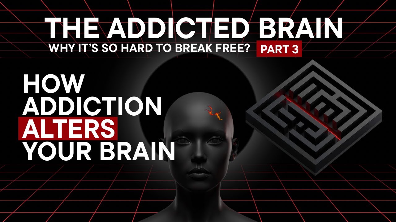 How Addiction Alters Your Brain | The Addicted Brain: Part 3