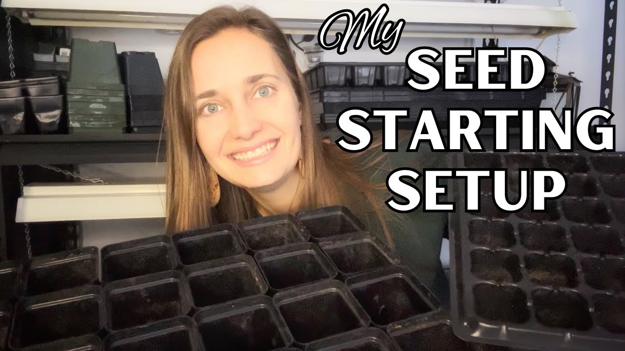 Everything You Need to Start Seeds (on a Budget!)