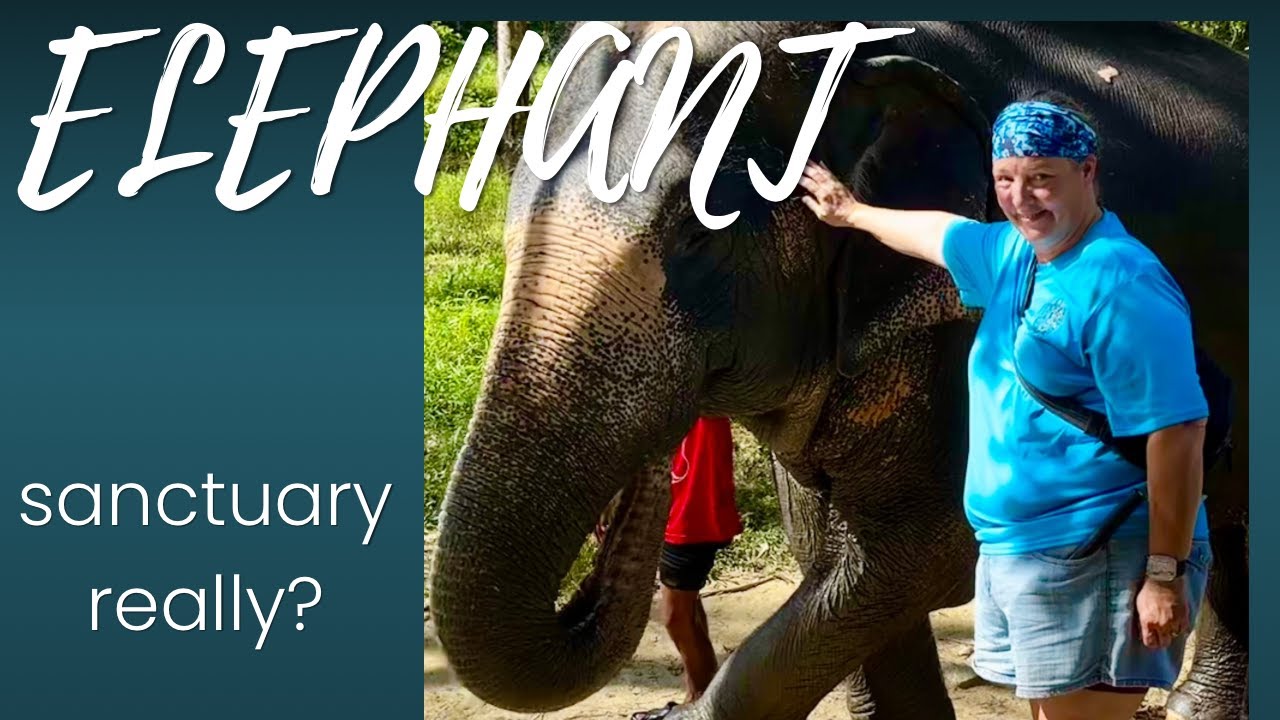 Thailand,ko lak.Elephant sanctuary?@RustiAnchorBosun1