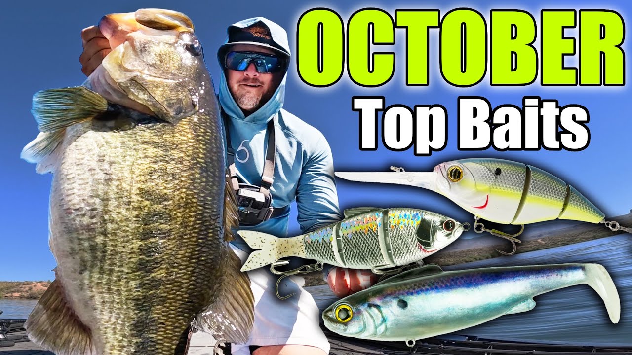 You'd be a FOOL to Fish WITHOUT these Baits in October! (Top 5 October Bass Fishing Baits)