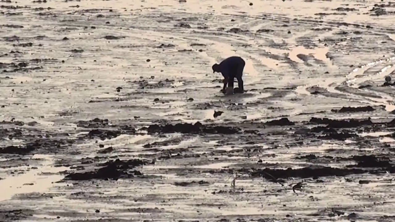 World's Highest Tides