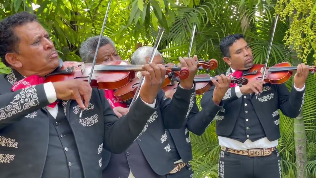 CIEN OVEJAS / Mariachi Misioneros del Rey