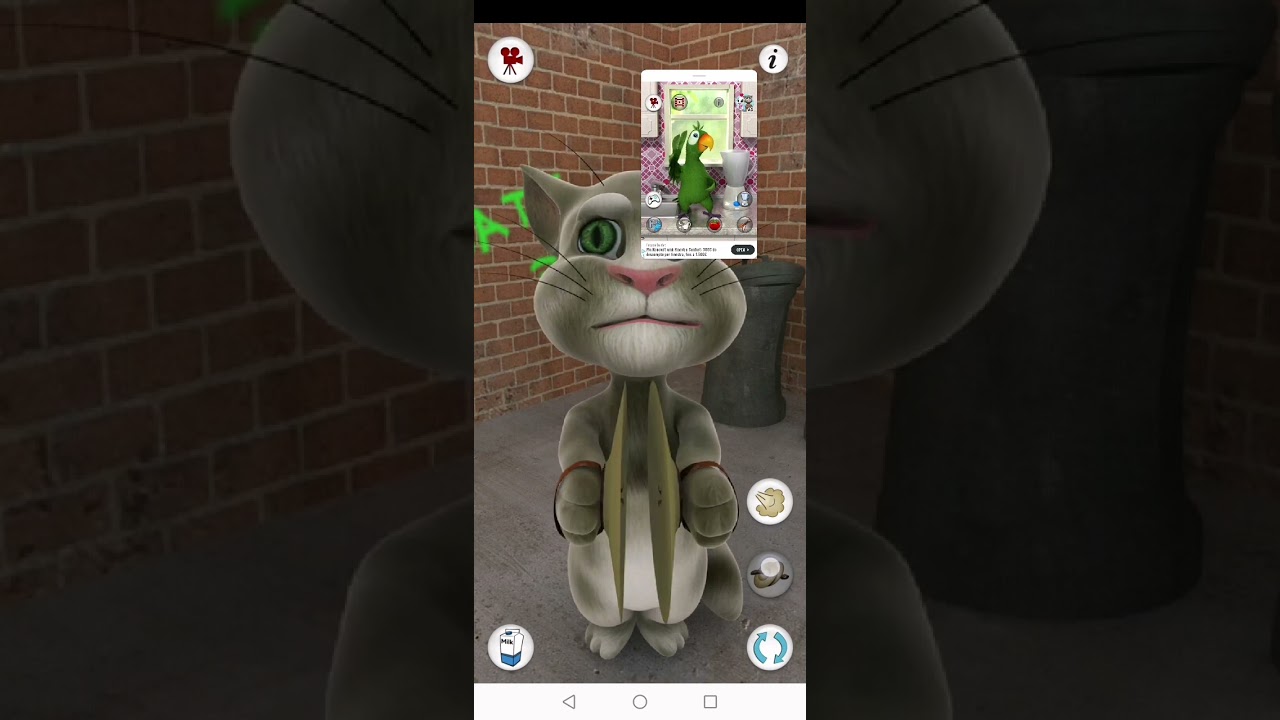 Talking Tom Cat 2010 Echo VS Talking Pierre Echo