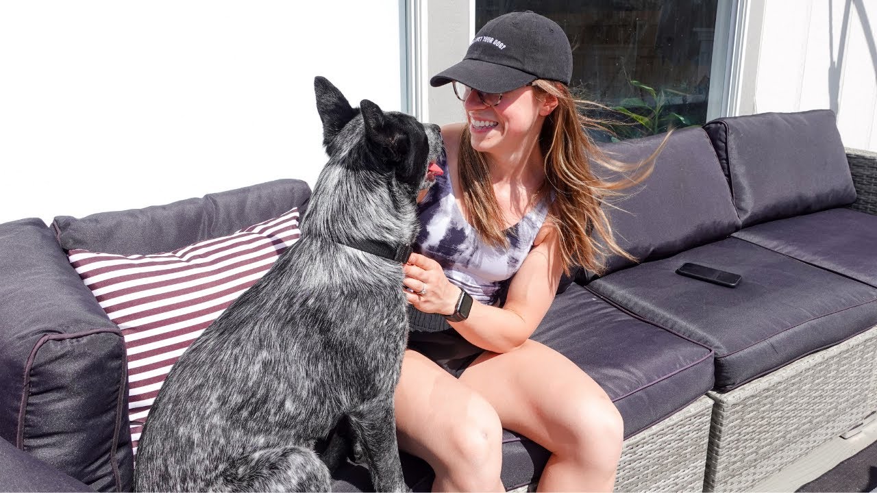 A Day in My Life VLOG | Meet Our New Dog + Exciting Life Updates