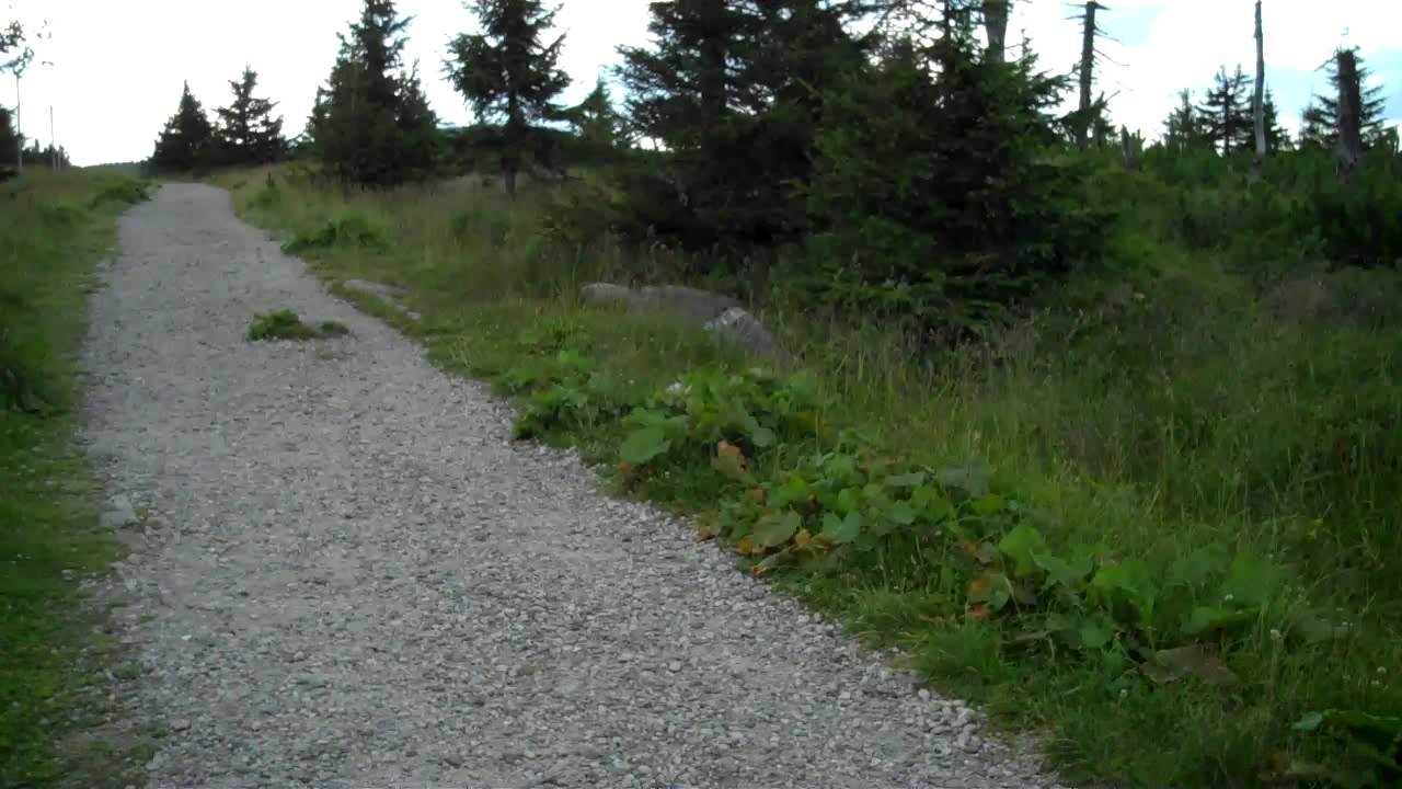 Czech - Polish border along Karkonosze mountains