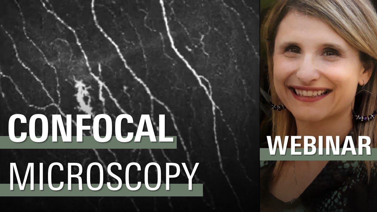 What Can my Confocal Microscope Do for Me? | HRT3 RCM