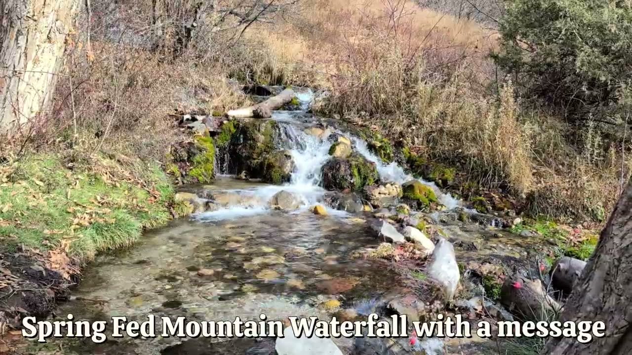 Spring Fed Mountain Waterfall with a message