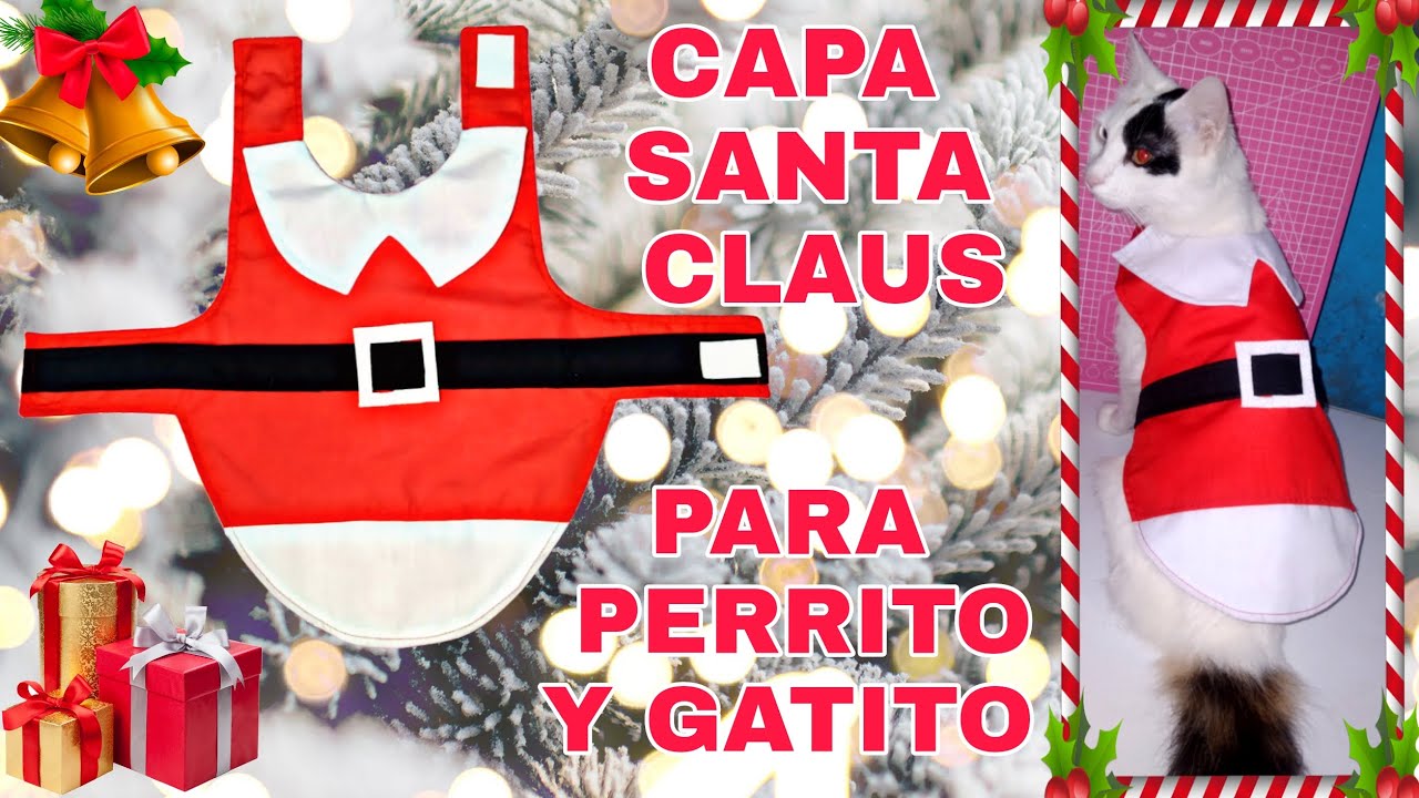 DIY CAPA SANTA CLAUS PARA PERRITO Y GATITO - ROPA NAVIDEÑA PARA PERRO