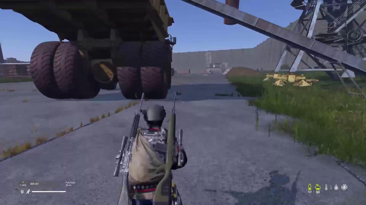 Dayz