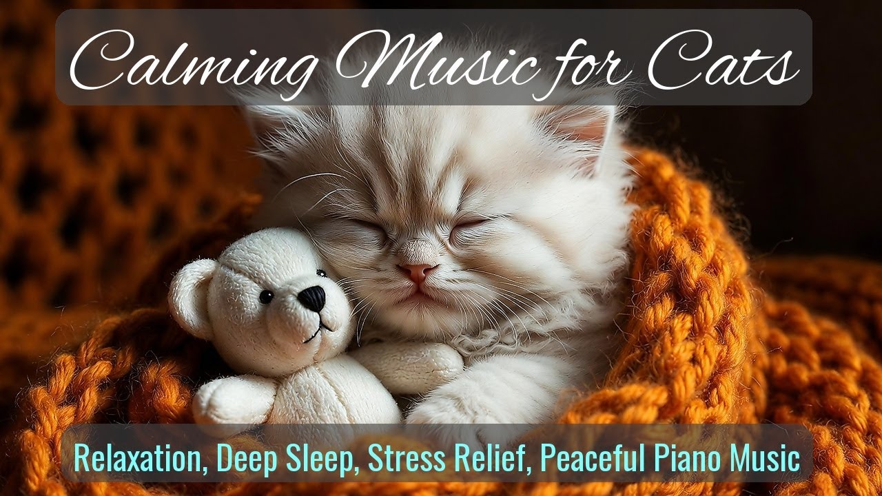 Calming Music for Cats - Relaxation, Deep Sleep, Stress Relief, Peaceful Piano Music | Season 44