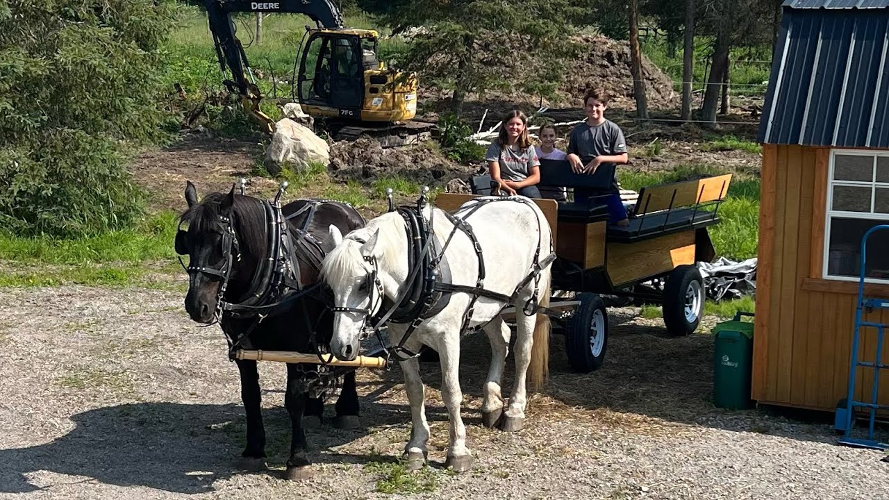 Horse drawn Wagon Ride!!