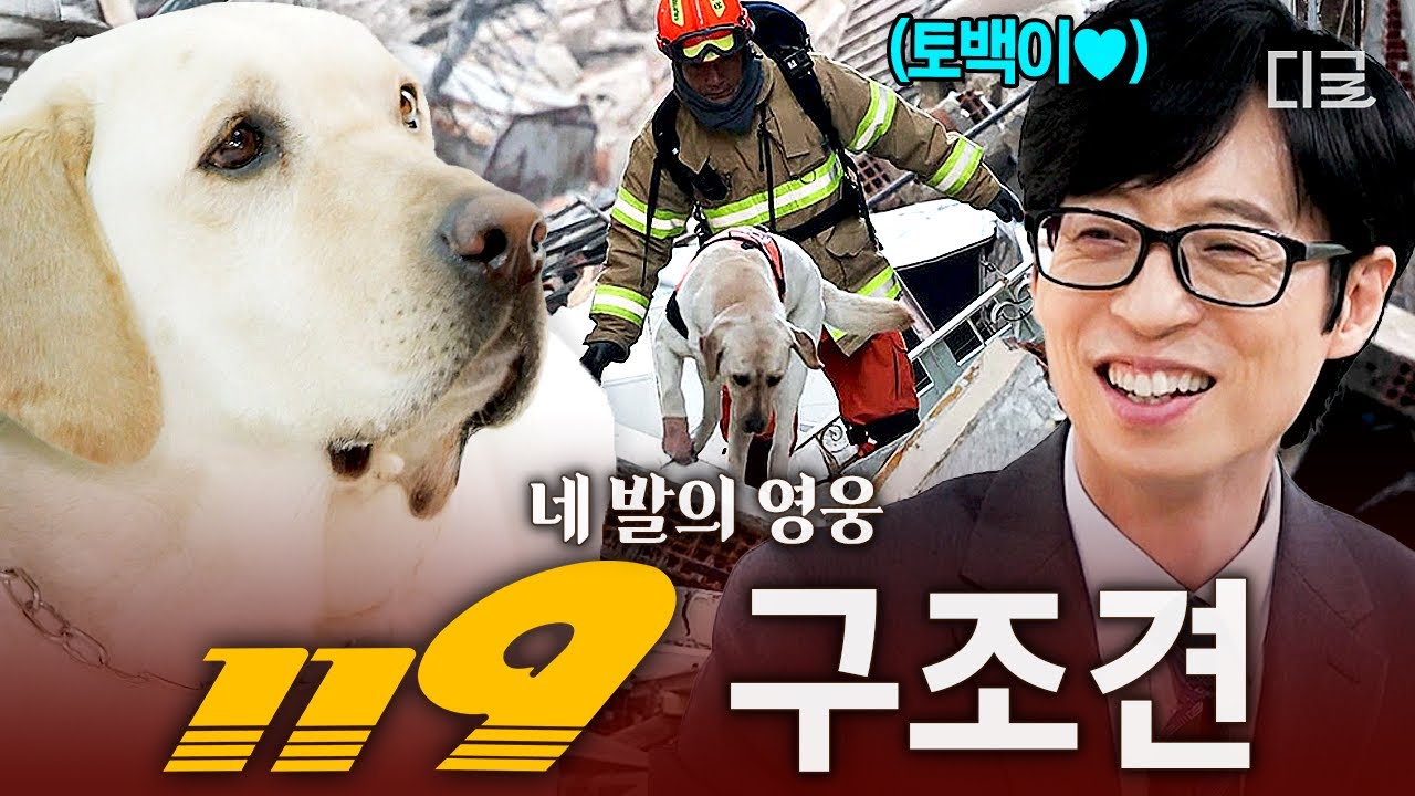 [#유퀴즈온더블럭] 재난 현장에 없어선 안 될 네 발의 영웅✨ 119 구조견 토백이를 만나다🐕
