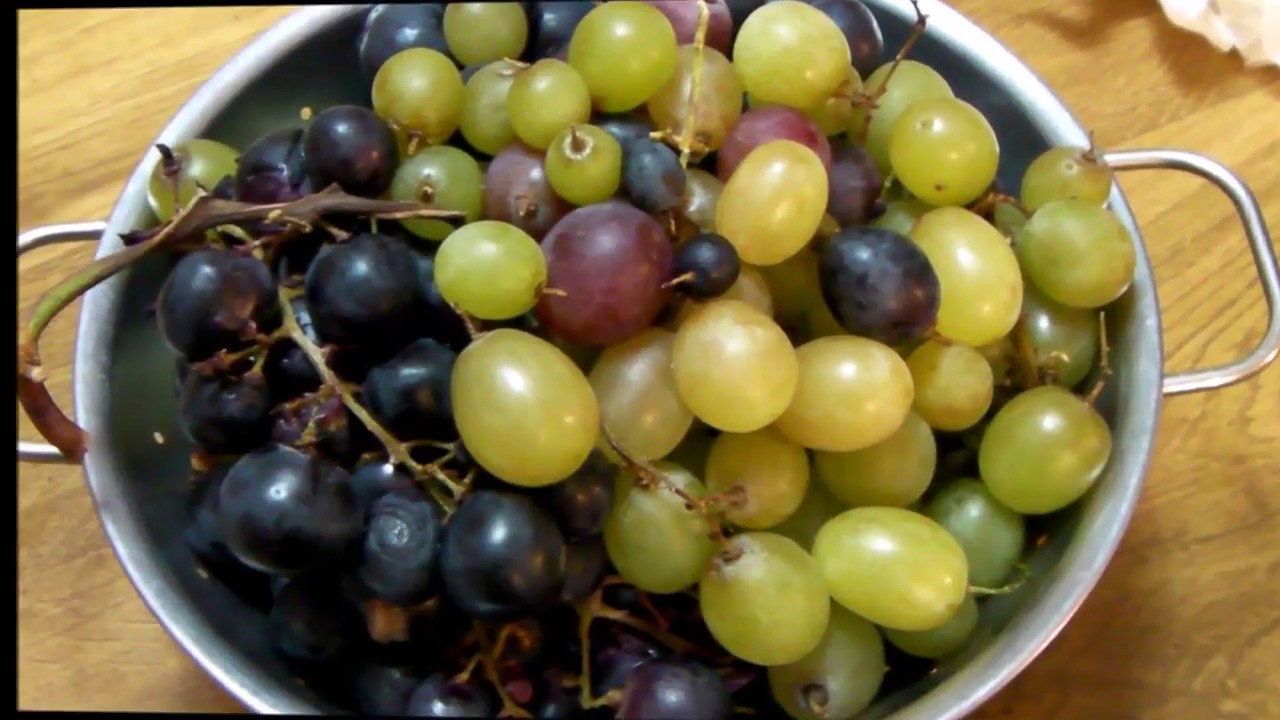 Comment faire un bon jus de raisin maison sans machine ? #diy