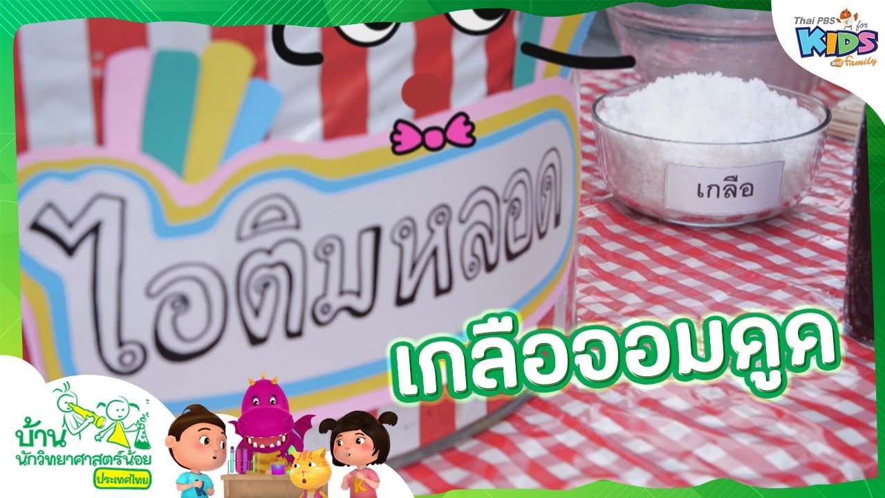 เกลือจอมดูด : บ้านนักวิทยาศาสตร์น้อย