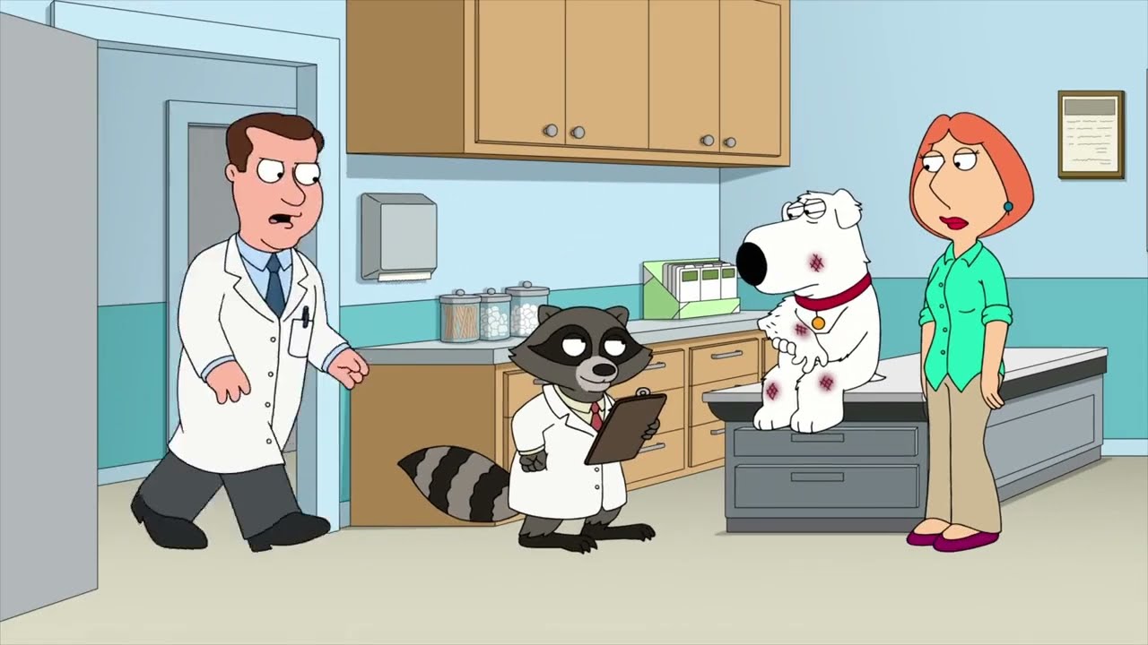 Family Guy - Raccoons
