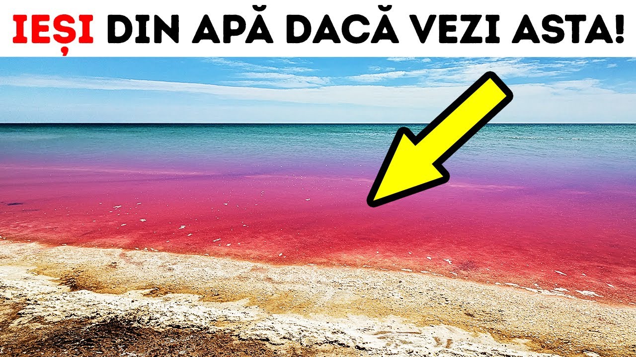 Nu intra în apă dacă vezi că oceanul este roșu!